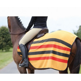 Couverture pour Cheval